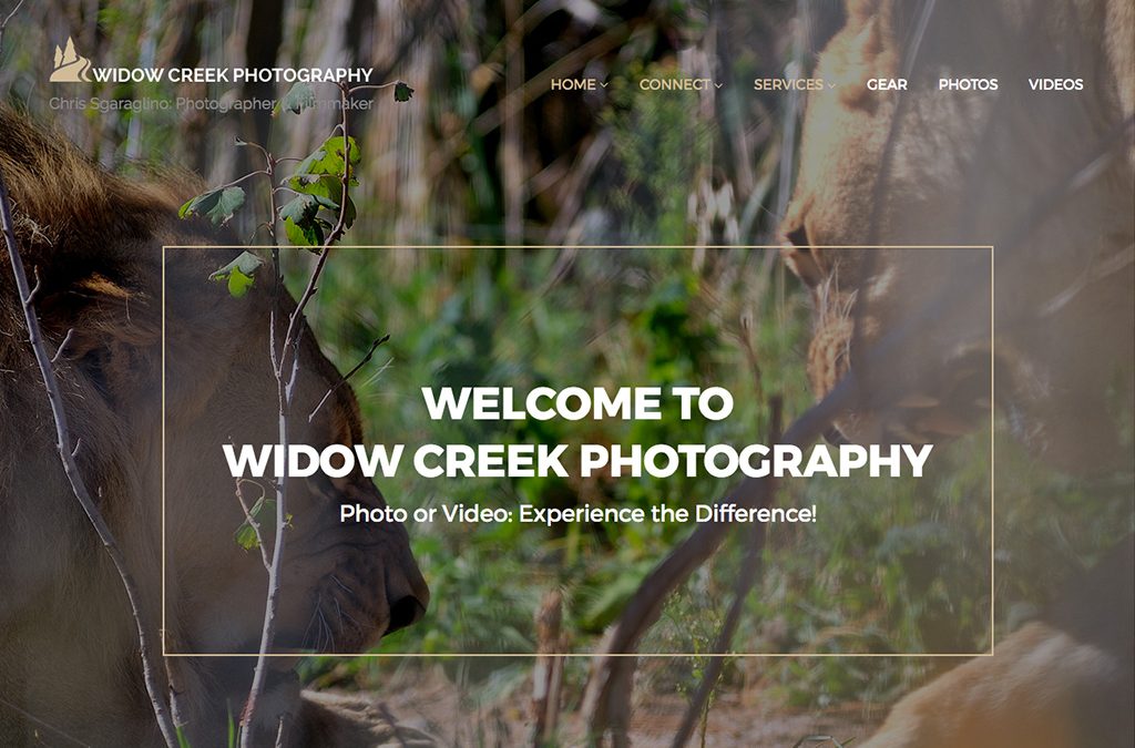 Widow Creek Photography