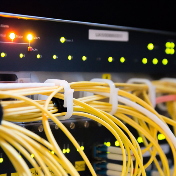Hosting & Website Care